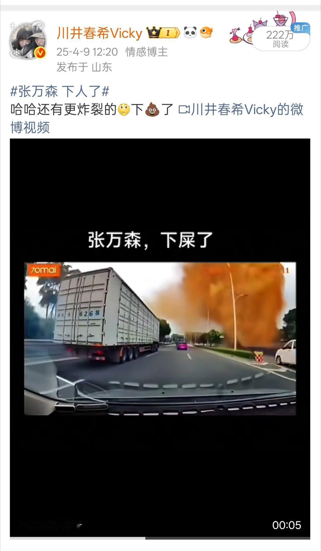 张万森 你什么时候再来一次 我想你了 