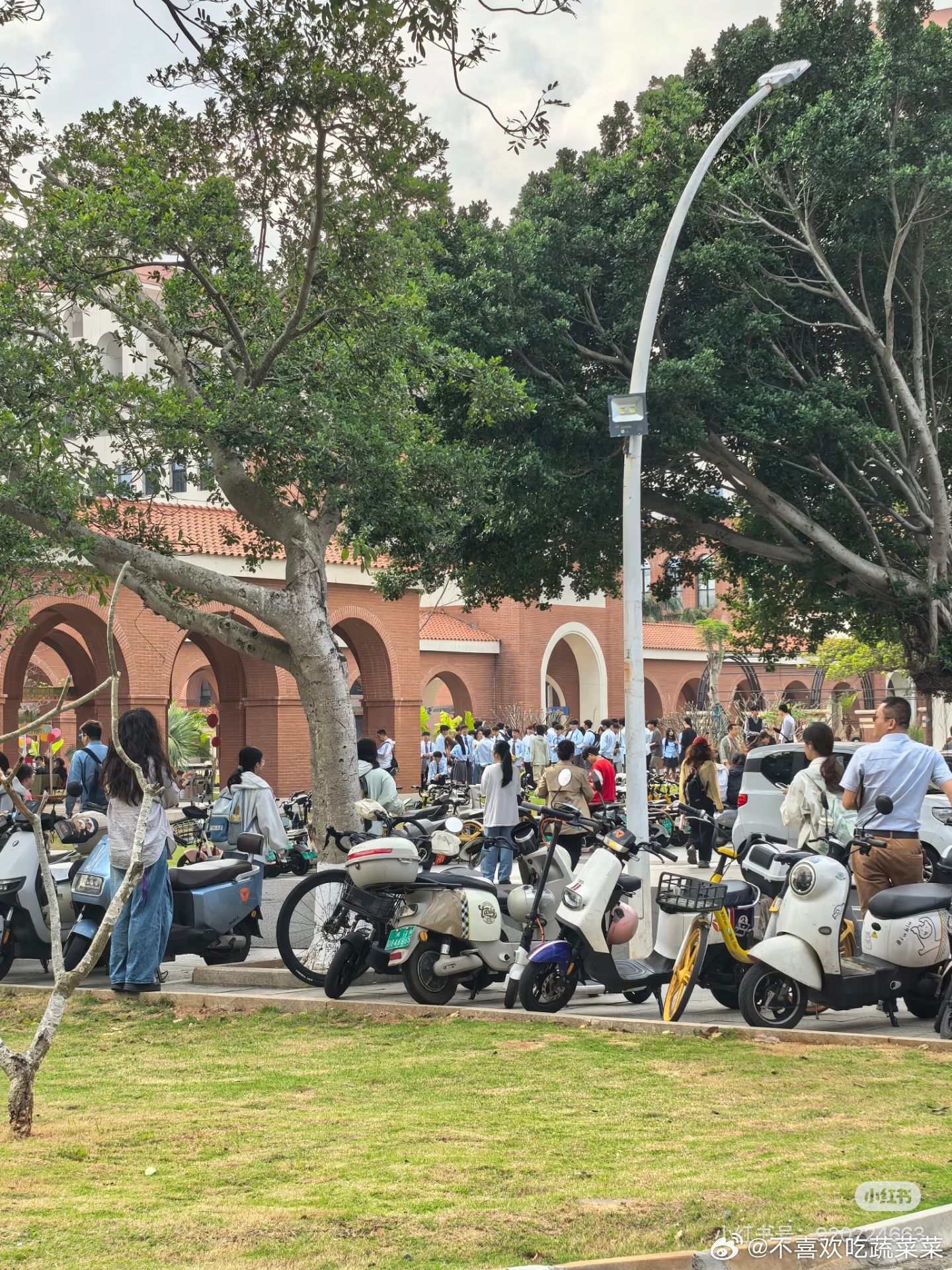 tg 今天继续海大拍摄 