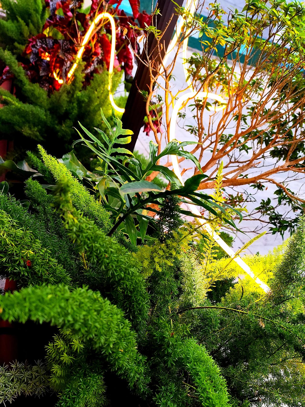 发现一个下班后的宝藏休闲处，很安静的休闲区，有东西吃，有WiFi ,还有喝的，还