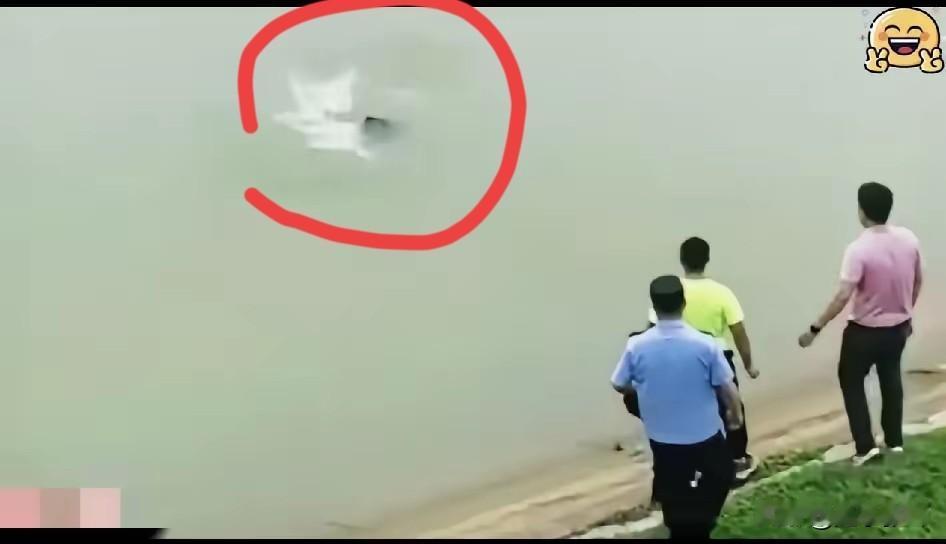 终于学到精髓了
遇到分不清是不是“水鬼”的情况，先不要着急下水。等个5分钟，等她