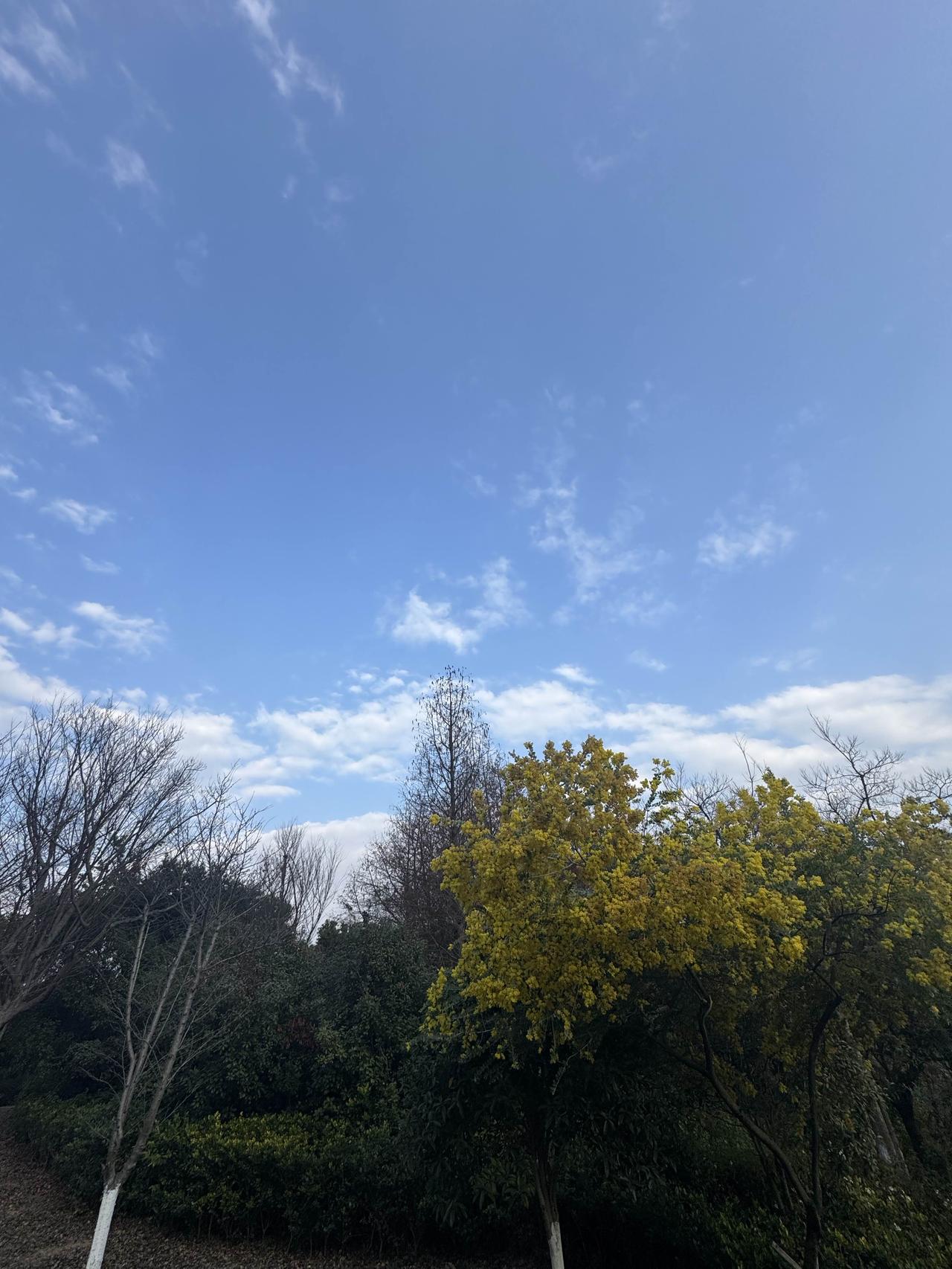 过节这两天，海外、国内有哪些重大新闻与我们中国股市有关？这关系到年后，明天第一天