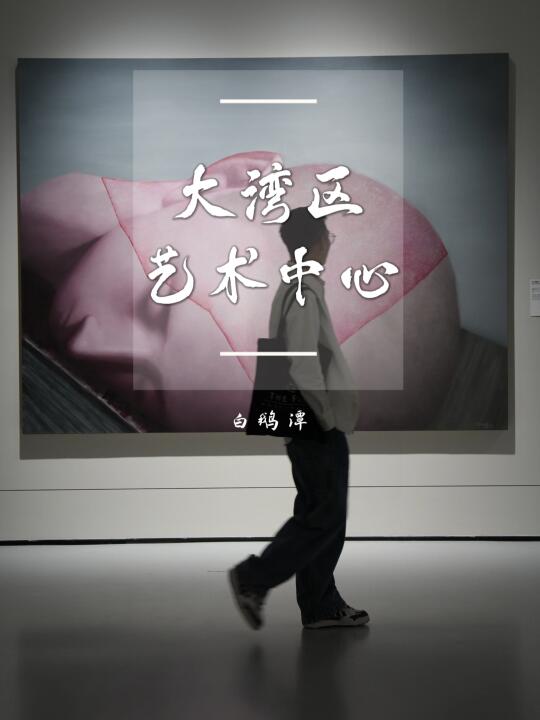 周末看展｜三馆合一，大湾区艺术中心免费打卡
