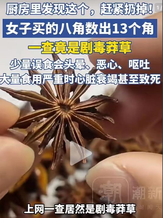 “孩子一个好奇，救了一家人的命！”浙江，一女子在炖肉时放了八角来调香，旁边的儿子