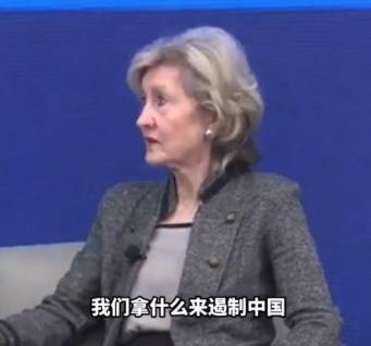 我们对付中国，不是去和它打仗！美国驻北约前大使曾说：中国有庞大的陆军、海军和空军