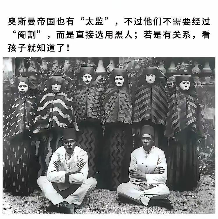 如果奥斯曼后宫出生一个黑娃
里面的全部黑人就要连坐被砍头吗？[泪奔]