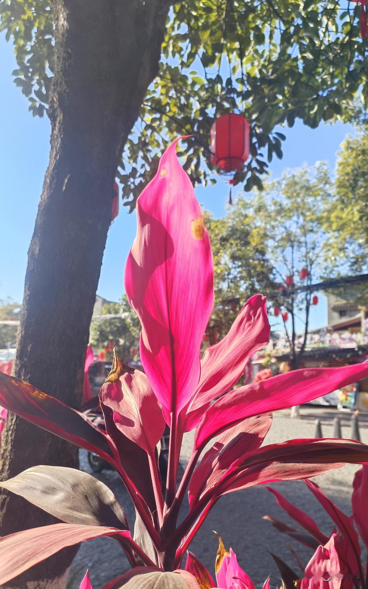 这个世界上，漂亮的人很多，有钱的人也很多，有学识见过世面的人也很多。可有些人都三