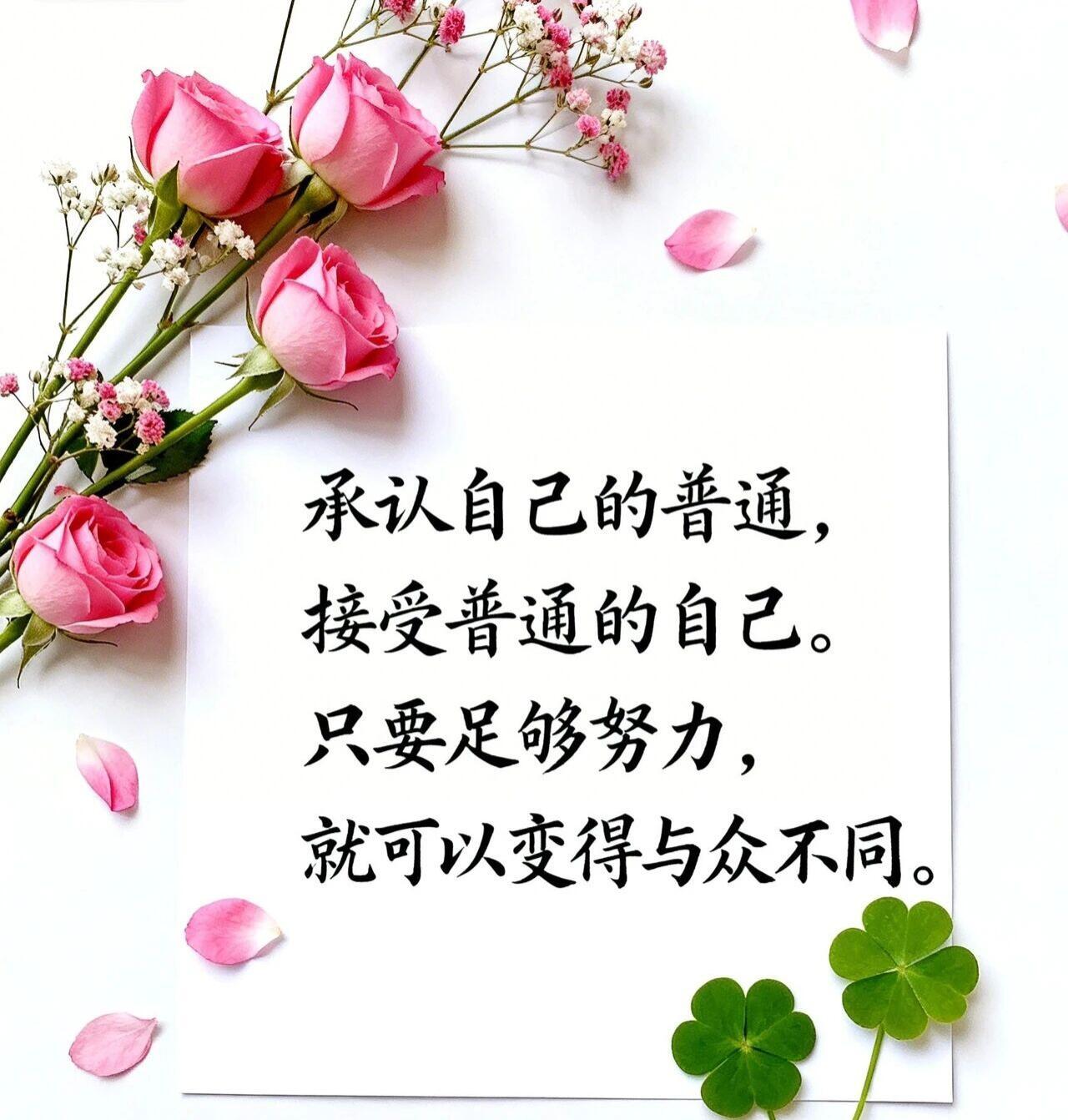 当然能坦然接受。
 
平凡从来不是缺憾，反而藏着稳稳的幸福。不用追逐耀眼光环，不