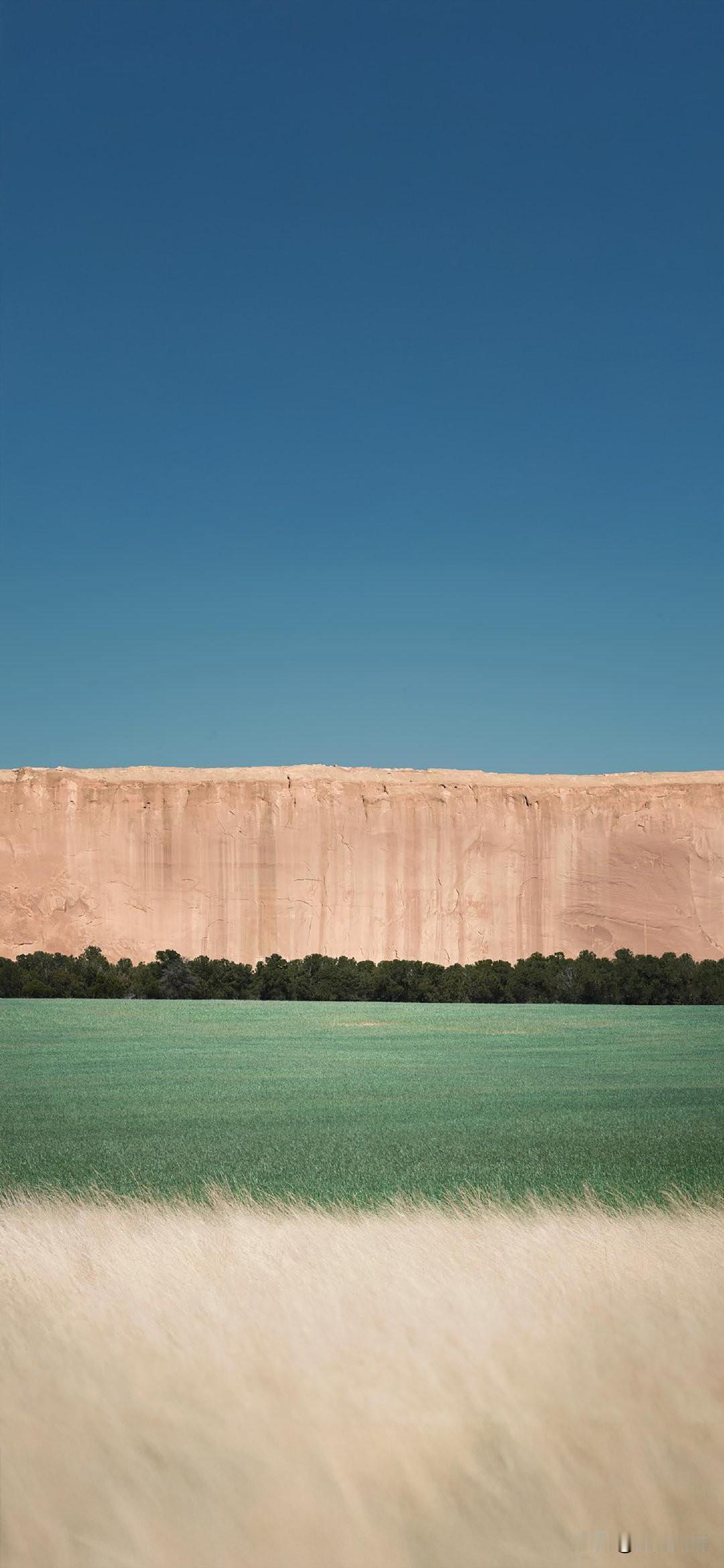 悬崖下是一片绿油油的田地。