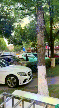 光天化日，女子竟手持锤子，对着一辆绿色轿车猛砸车窗！
看她目标明确，全程没碰旁边