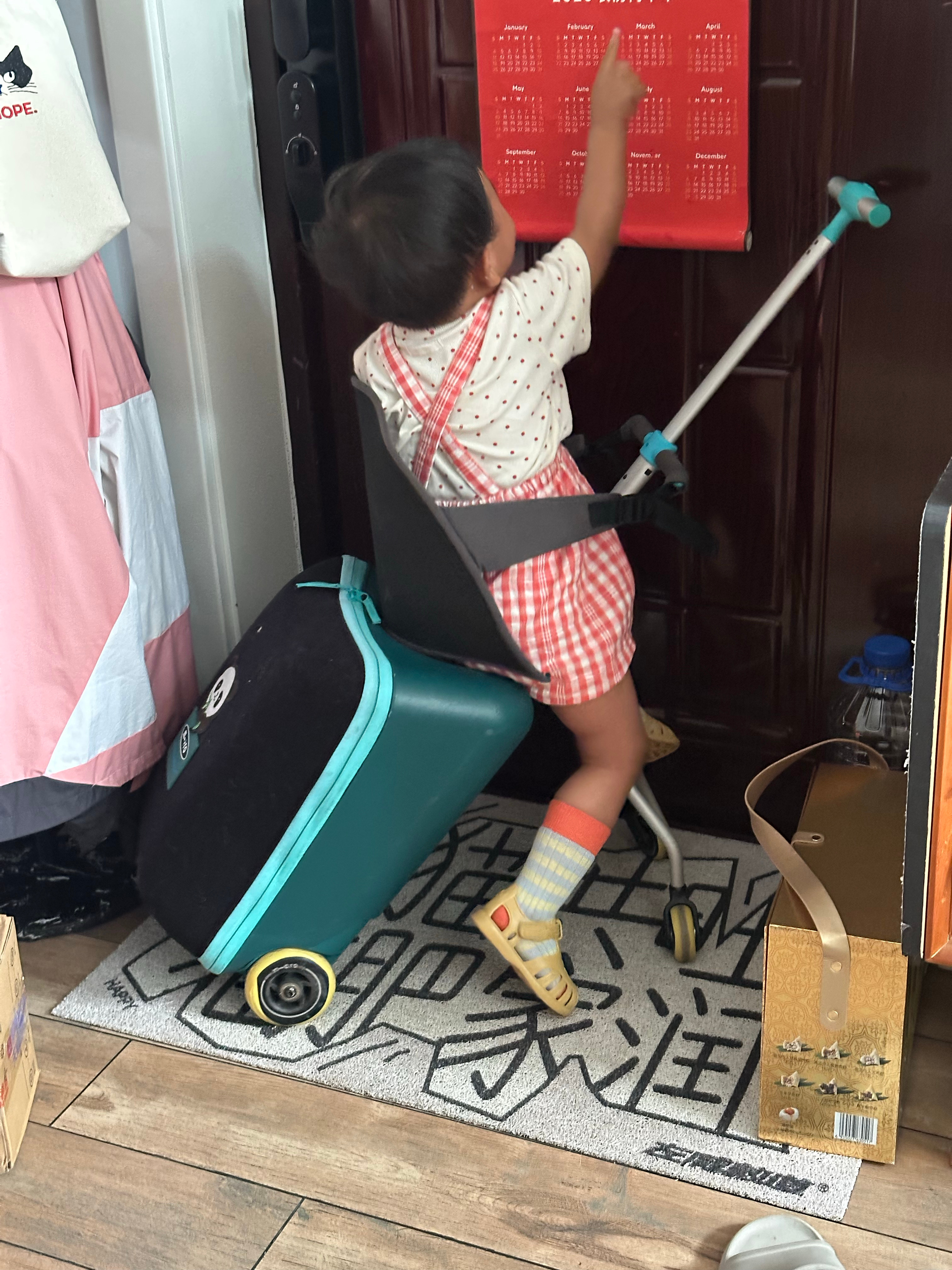 走了走了出去玩了。 