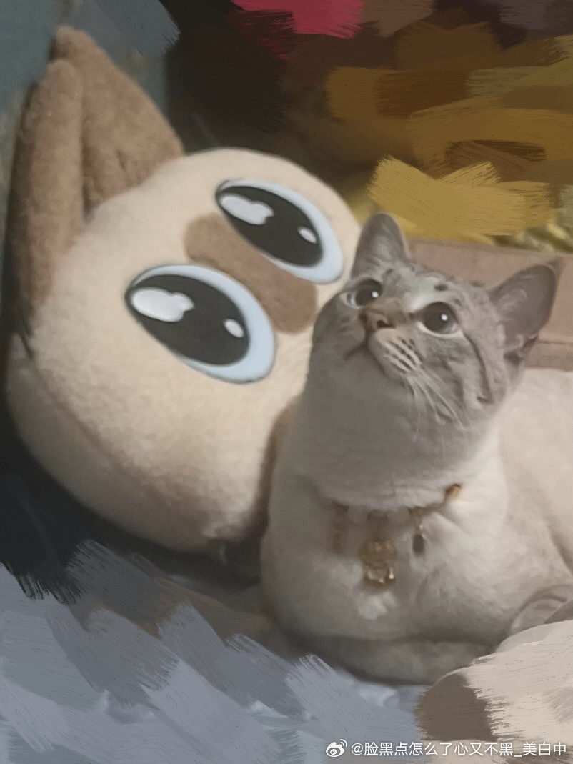 3988只黑脸小豆泥同款卡姿兰大眼睛 
