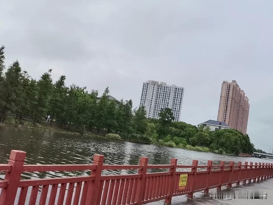 上海的伙伴们发现没，自 8 月 9 号 今年第 13 号 台风（白海豚）过去已经
