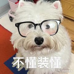 《度华年》人物各具特色，剧情推进有亮点，整体表现可圈可点，值得一看。 ​​​