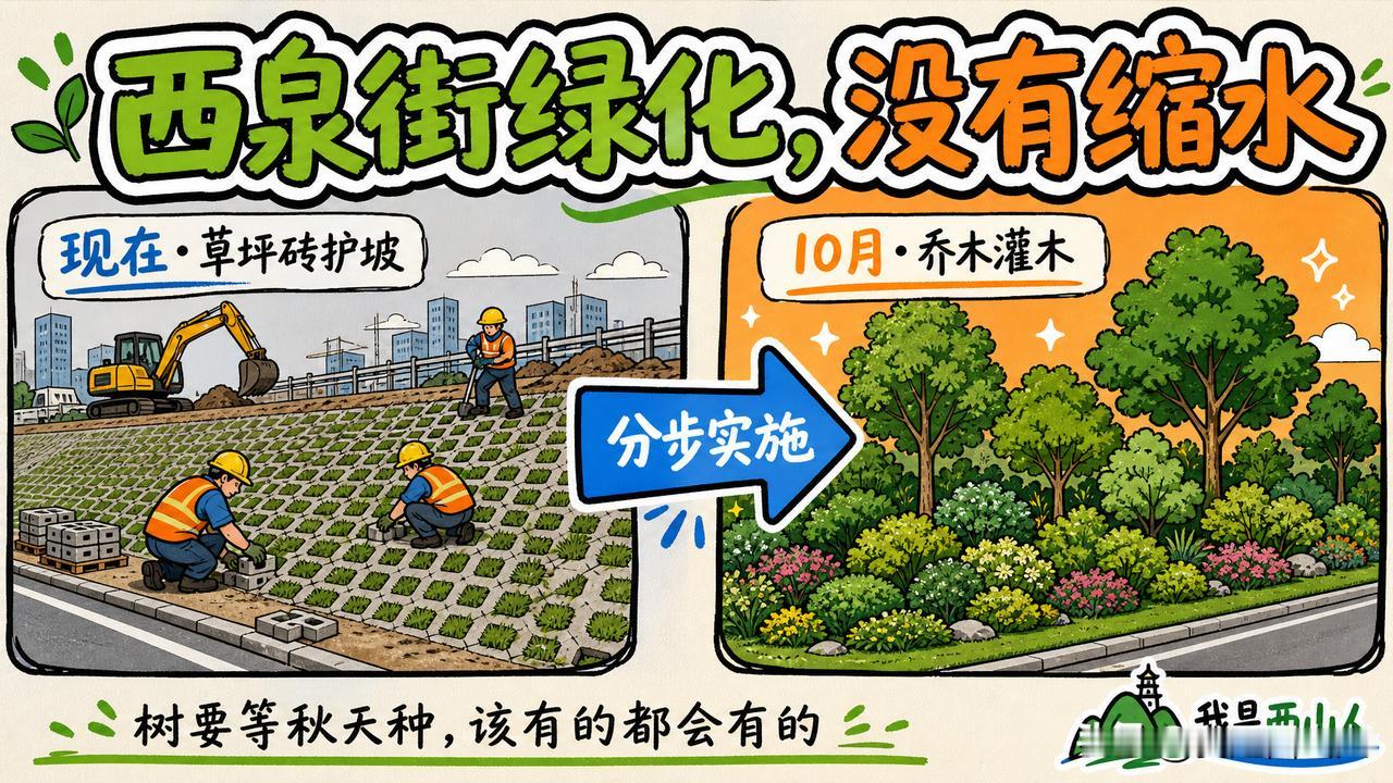 西泉街退后绿化没有“缩水”，园林局解释了：现在不种树是因为季节不对

    前