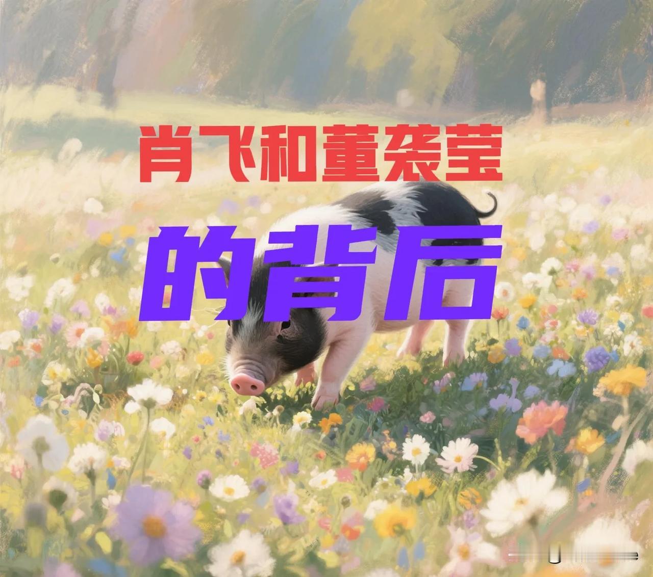 肖飞与董袭莹的背后

由一个婚外情事件引起的网络地震让人始料不及，原本看起来一个