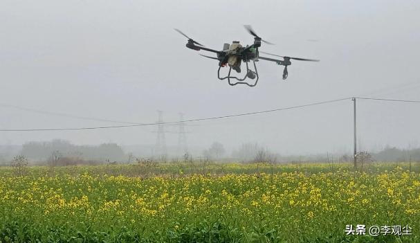 油菜花花期打药引争议，阴谋论肆意造谣，农业真相彻底打脸

近日“油菜花花期打药”