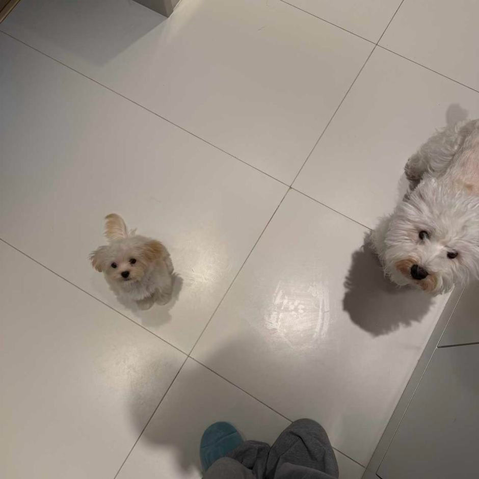 两个美容完的小抖抖 ​​​