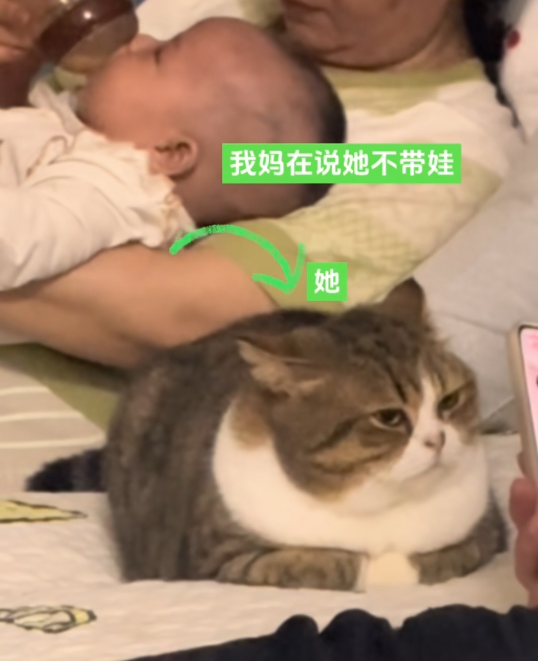 压力一只溜肩小茂密？