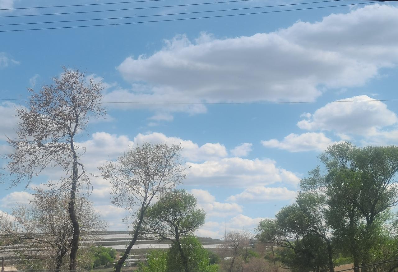 ＃分享你的随手拍＃
    这是我随手拍的晴朗的天空，蓝天白云相映，绿树闪烁着生
