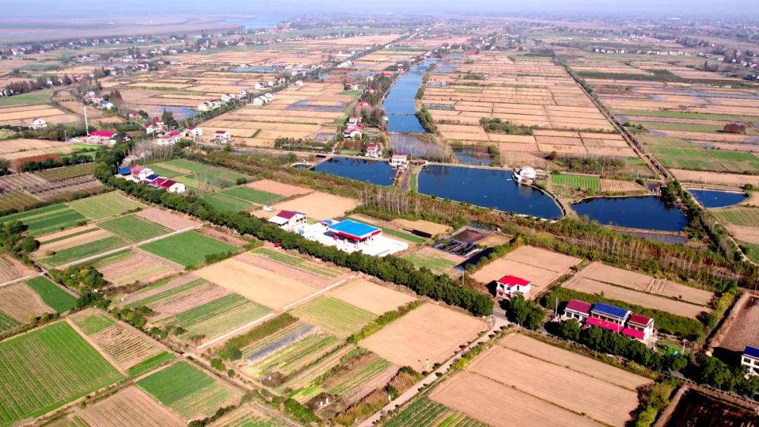 南县20.03万亩高标准农田建设全速冲刺