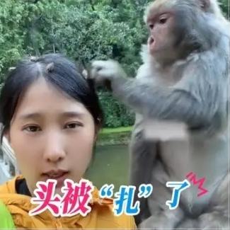 近日，贵州一景区发生了超有趣的一幕……
一位女子突发奇想，故意把几颗苍耳粘在自己