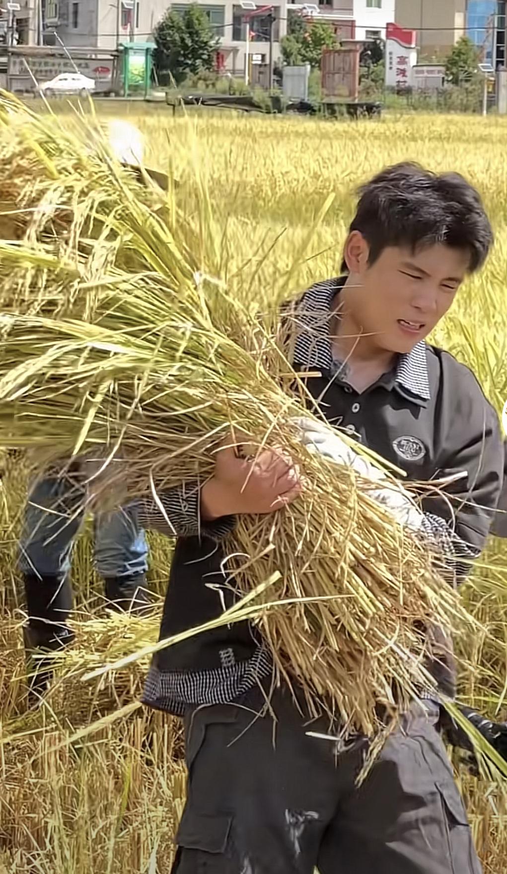 徐志胜录综艺嘻嘻哈哈，吃吃喝喝。
轮到何广智录综艺，深入农村，把小时候吃过的苦，