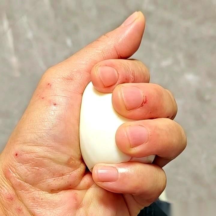 你敢信吗？一个刚煮熟的鸡蛋，攥在手里，居然跟一颗心脏一样在跳。
扑通，扑通。
真