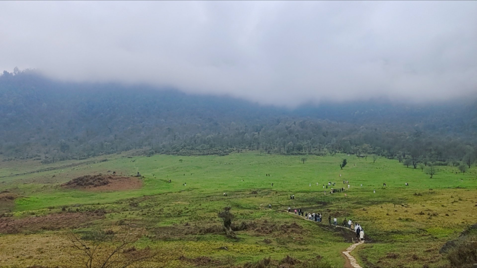 以后旅游，一定要避开小红书等的首页推流，基本都堵到体验很差，还是要选小众景点。 