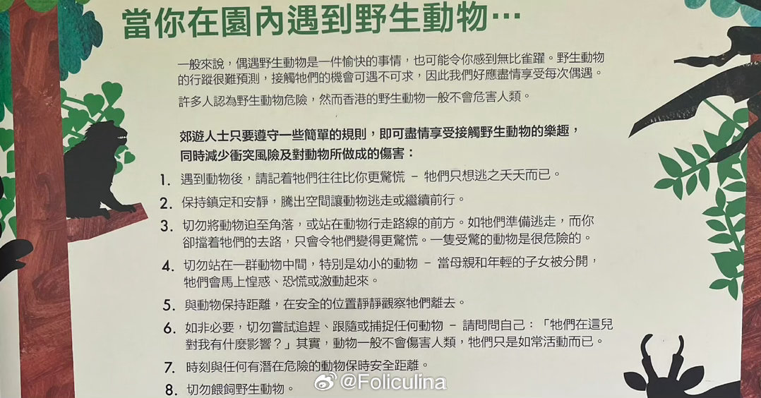 看见一些与网红科普牌完全不一样的科普牌。现在真的很烦那种处处都在表明自己态度的科