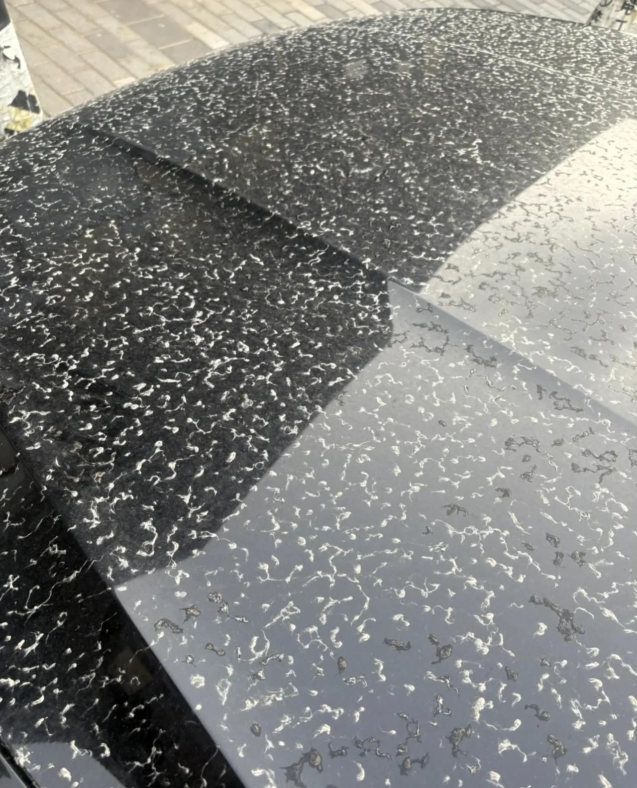 这下的是什么？原本以为昨晚下雨，还窃喜不用洗车了，结果早上一看傻眼了，这下的是什