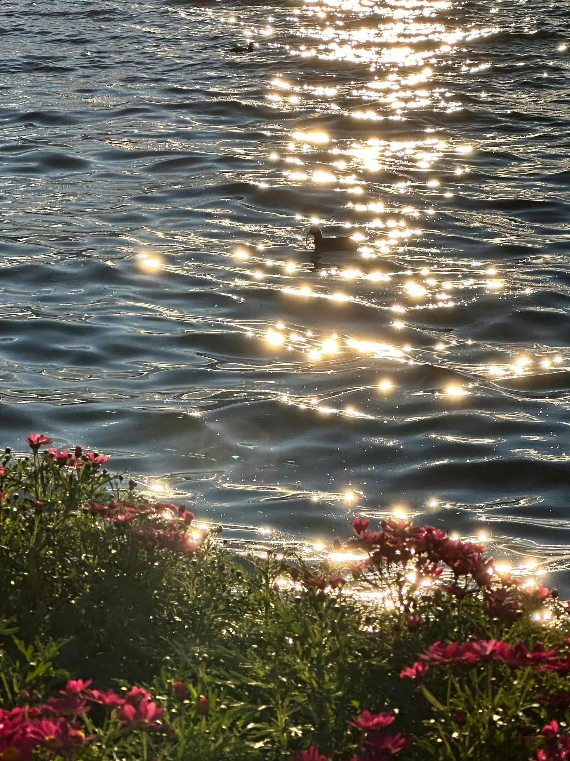 分享图片 ​​​