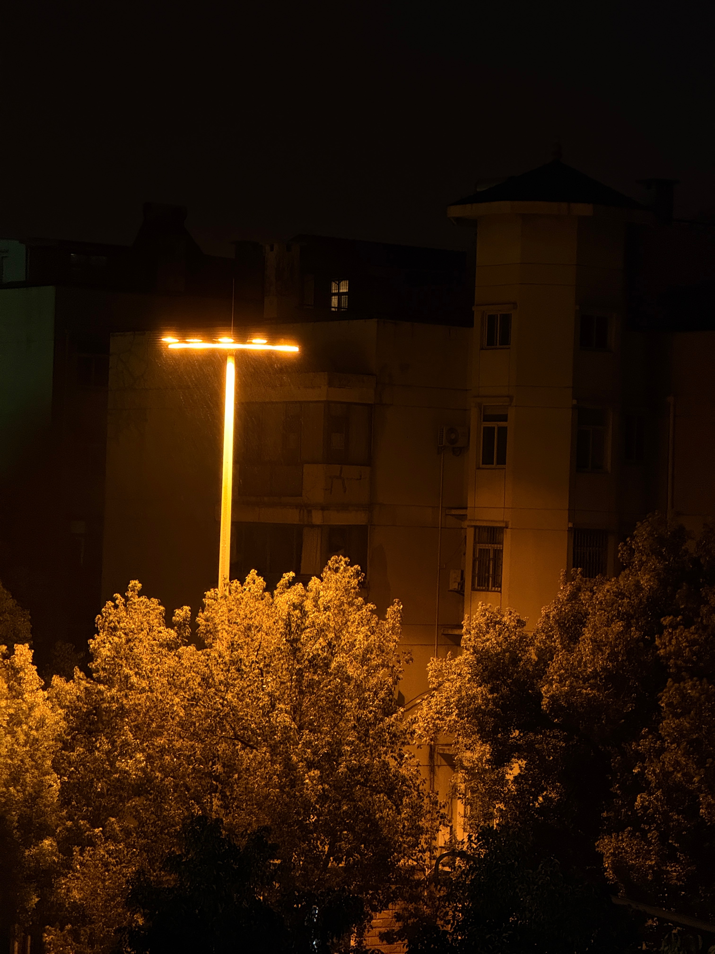 等武汉下雪武汉这会儿是不是在下雪了