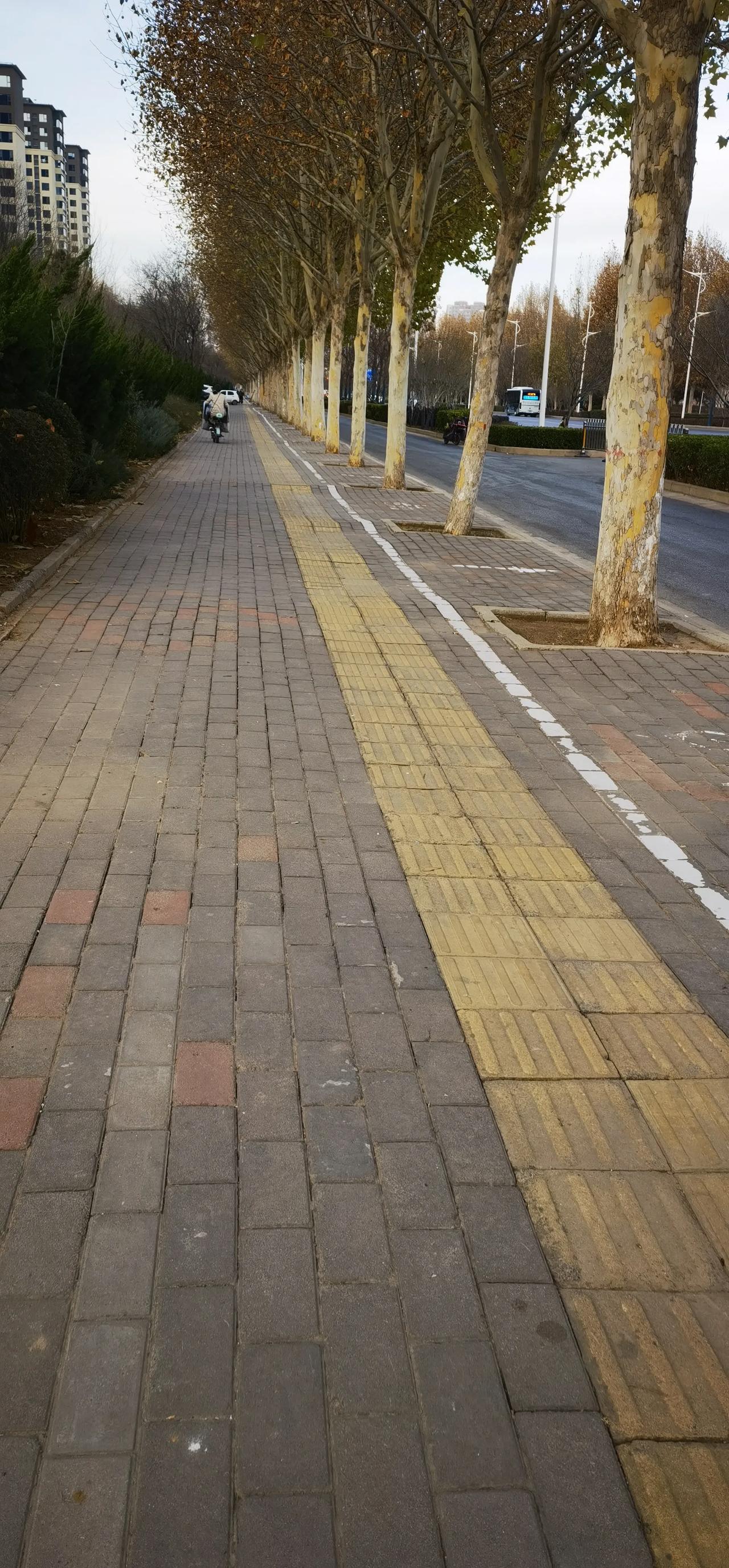 没事遛弯。
路遇一女子。
正准备骑车。
拿出纸巾，擦了又擦。
擦了又擦。
然后。