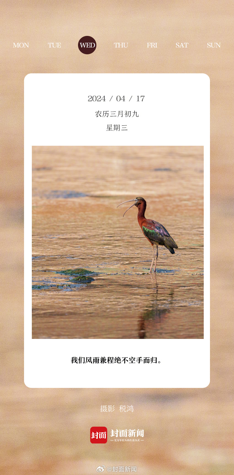 #小封日历#早安，周三啦！今天叫醒你的是_____？ ​[送花花] ​​​