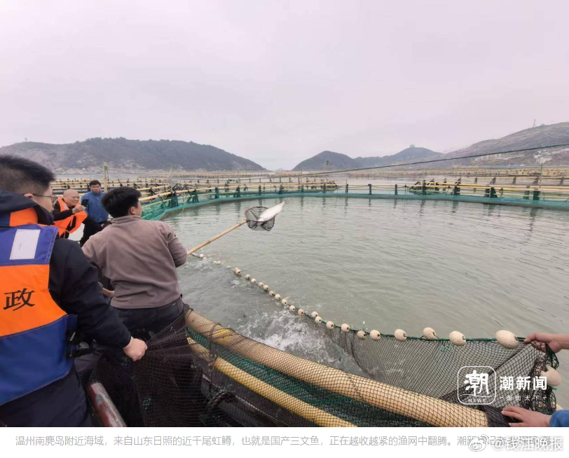 【一年产18万吨加州鲈、承包全球35%鱼子酱：#浙江人养鱼有多野#？】#浙江人吃