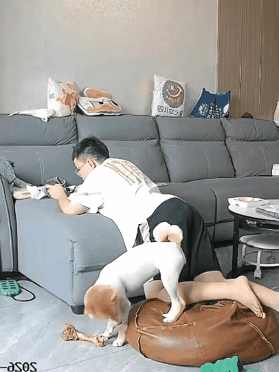 男子扒在沙发上看手机，自家狗在旁边啃骨头，男子勾了勾脚，狗狗突然就朝男子腿上咬了