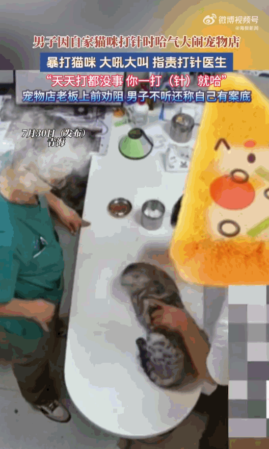 欺人太甚！青海，一男子带猫咪去宠物店打针，只因小猫紧张朝医生哈了一口气，男子竟当