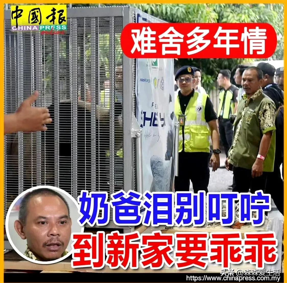 升谊和谊谊，两个小公主已经回国了，开始适应新的生活了。

我的记忆里还是那个对着