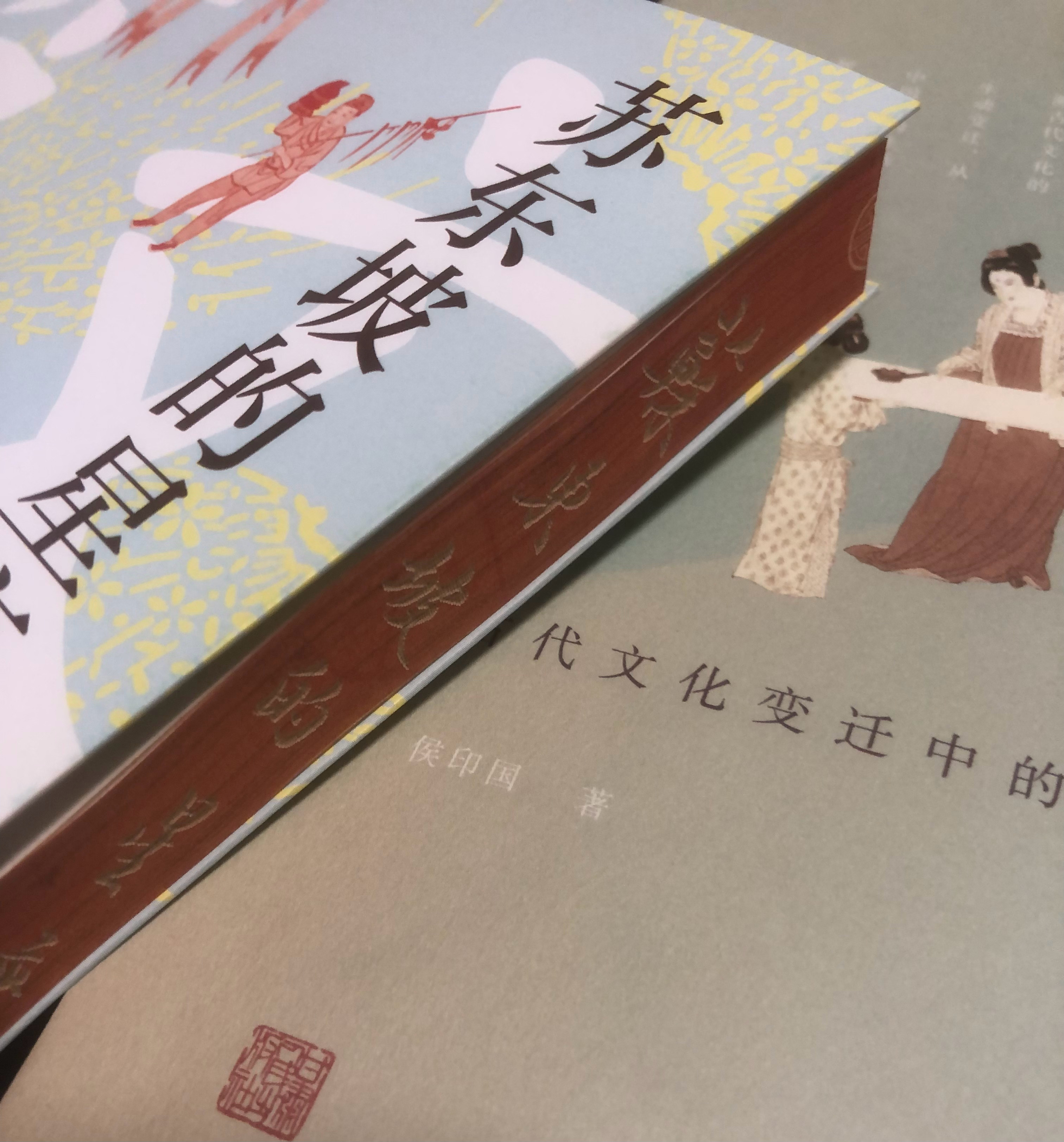  刷边版《苏东坡的星座：课本里学不到的中国文化简史》，别有情趣的一本书。作家安意