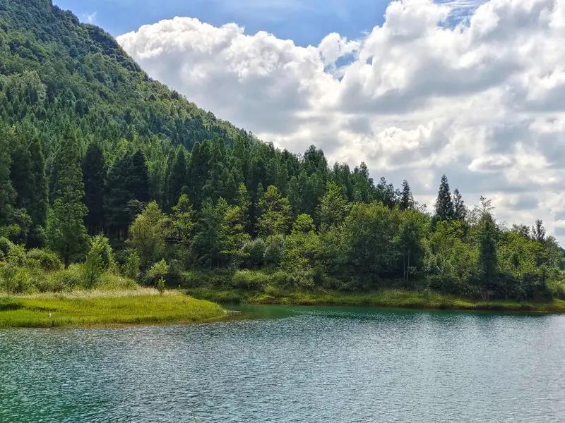 六盘水瑶池简直是个宝藏之地！称它为森林氧吧丝毫不夸张，踏入那片区域，清新空气立刻