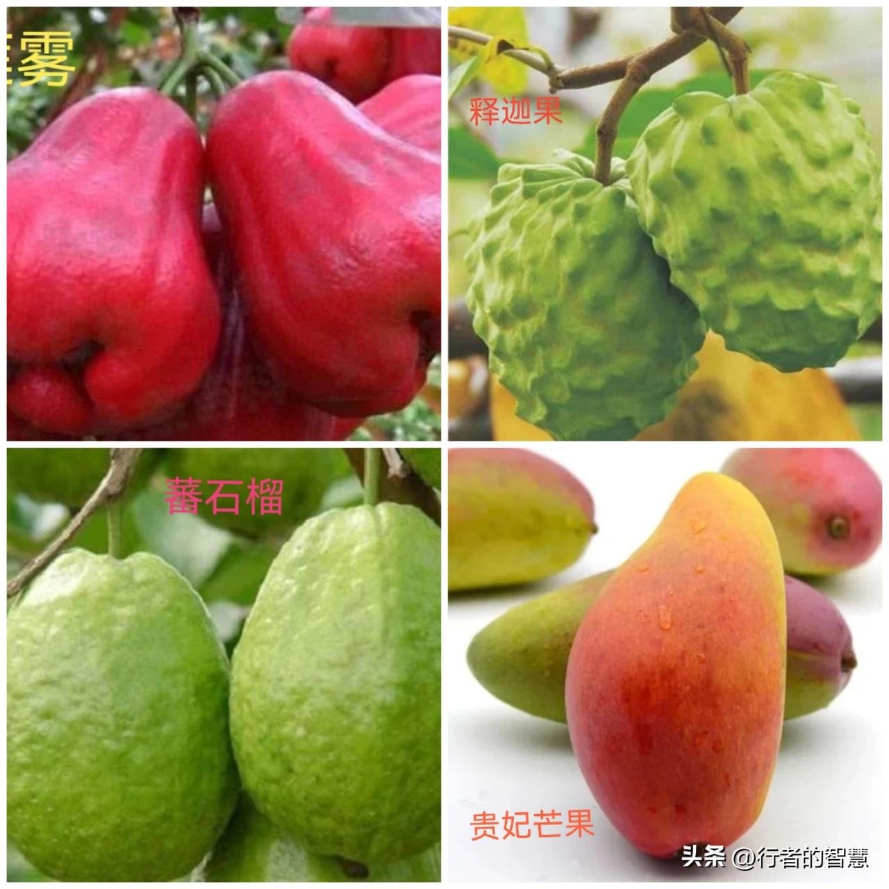 要注意拿东西送人的，一定要送品质好的，可不能送孬货或者过期的东西，这既是自己的诚