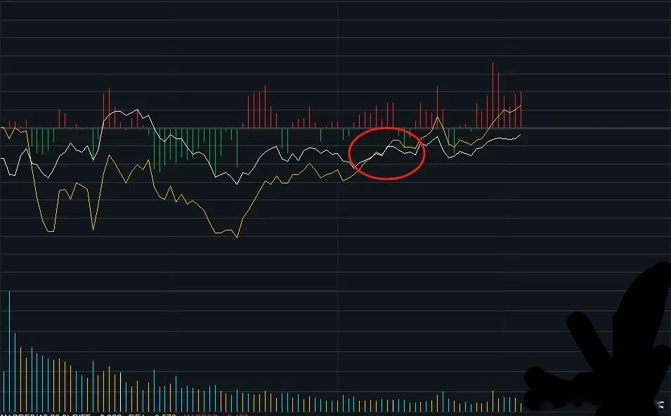 反弹结束又要开始跳水了吗？来不及等到收盘了，这个时候盘中多数下跌，指数维持放量震