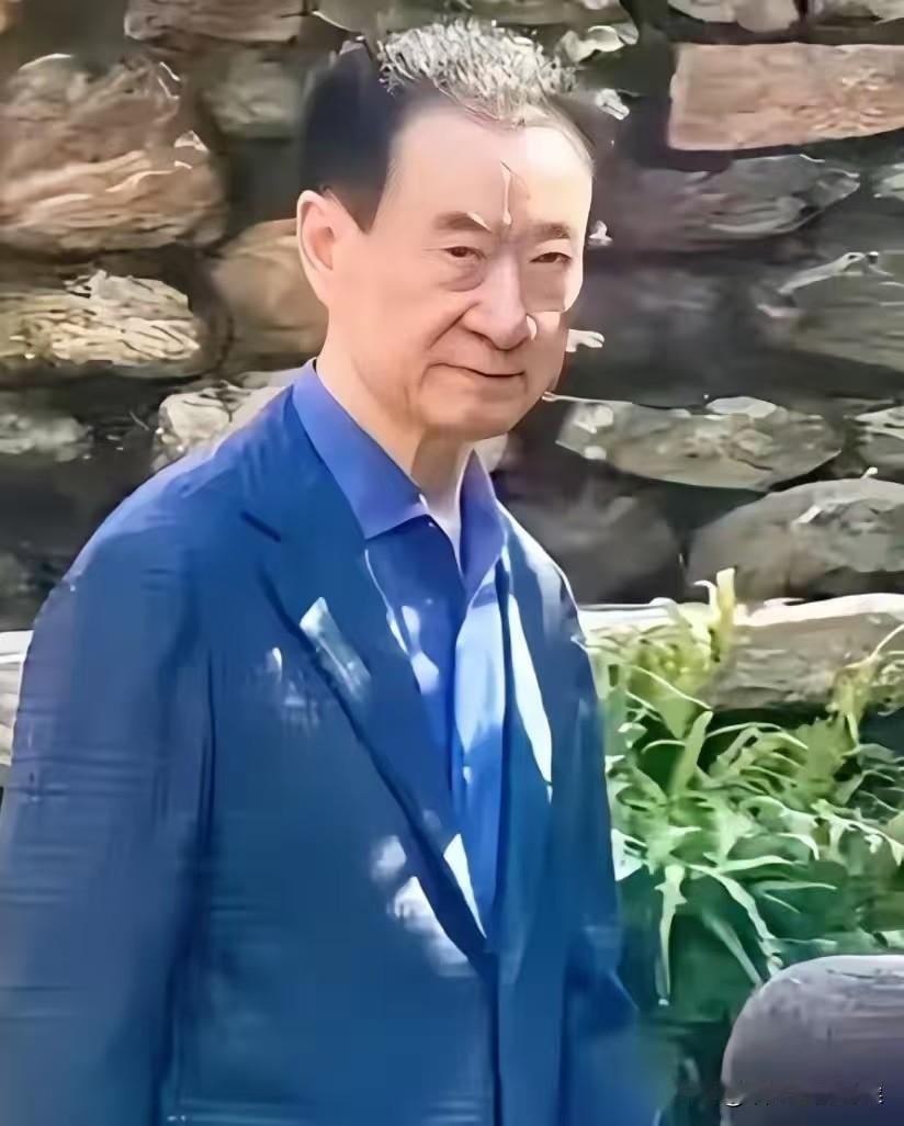 不查不知道，被王健林给惊呆了！在全球商业史上，能把6000亿债务熬成“快还清”的