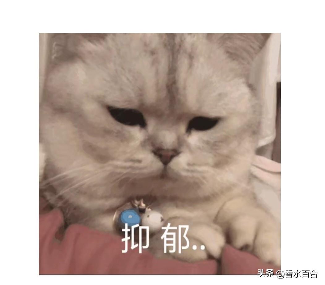 美以30名间谍被伊朗逮捕。

3月10日，伊朗发出通报，近日15个城市同步发起行