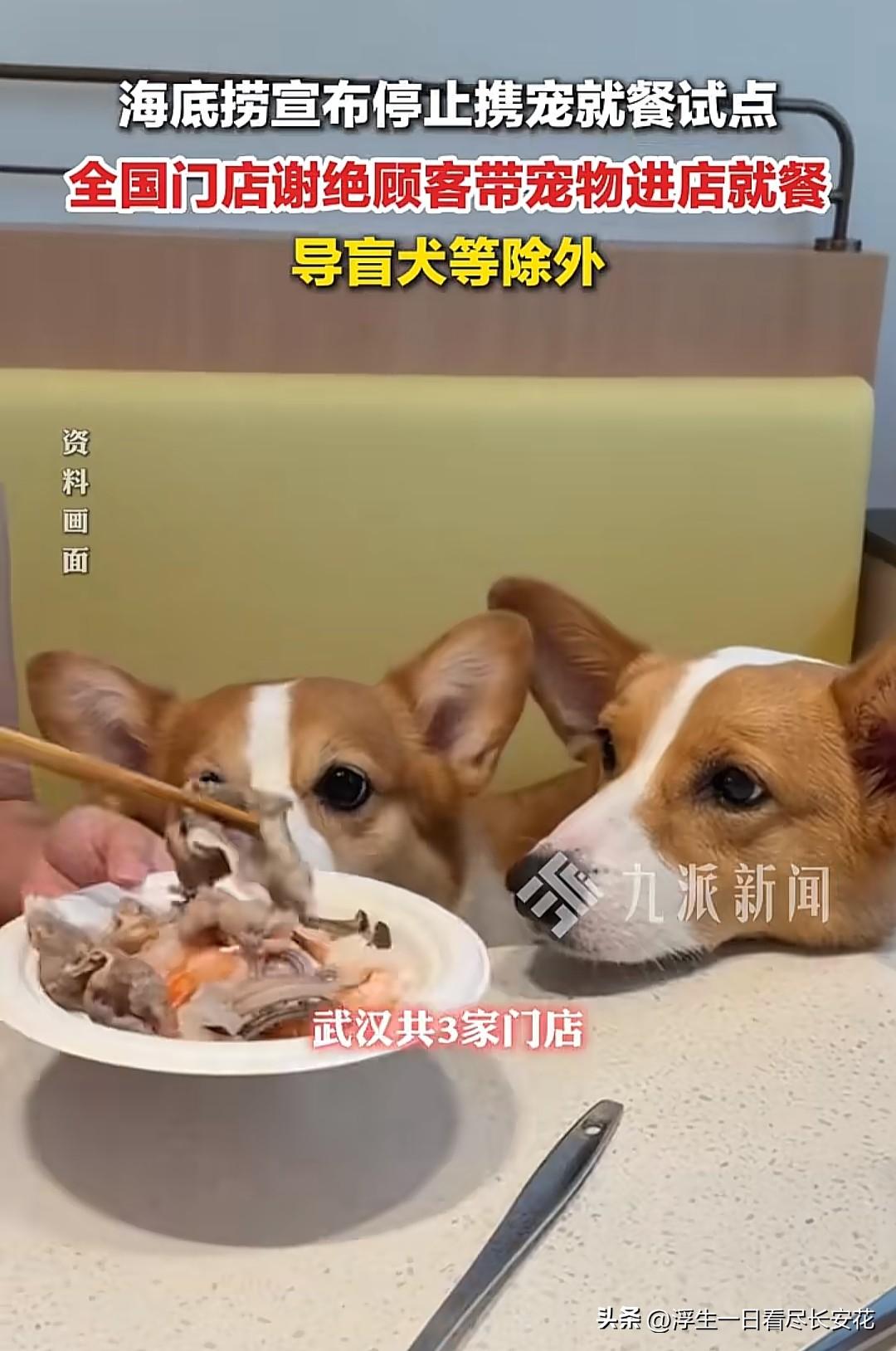 餐饮行业最忌讳的就是"讨好少数人，得罪大多数"。海底捞试点的三家门店，光是每天额