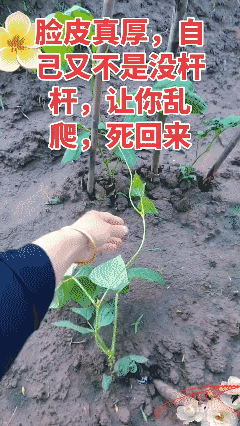 让你勾三搭四！😡