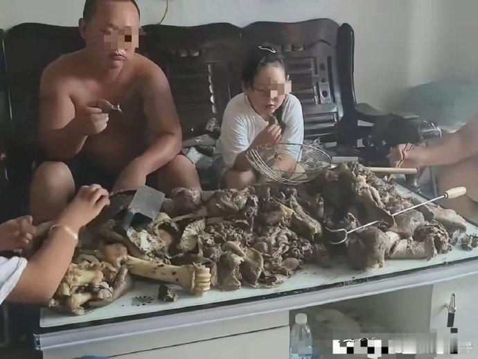 这吃肉的样子，估计一般家庭都比不过！ 