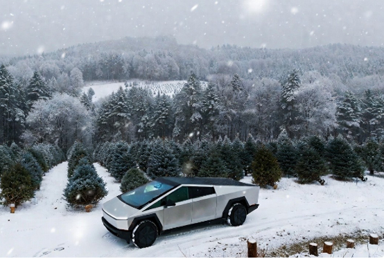 特斯拉AI团队火速推送FSD v14.2.2.1，紧跟前版迭代升级。雨天积水、标