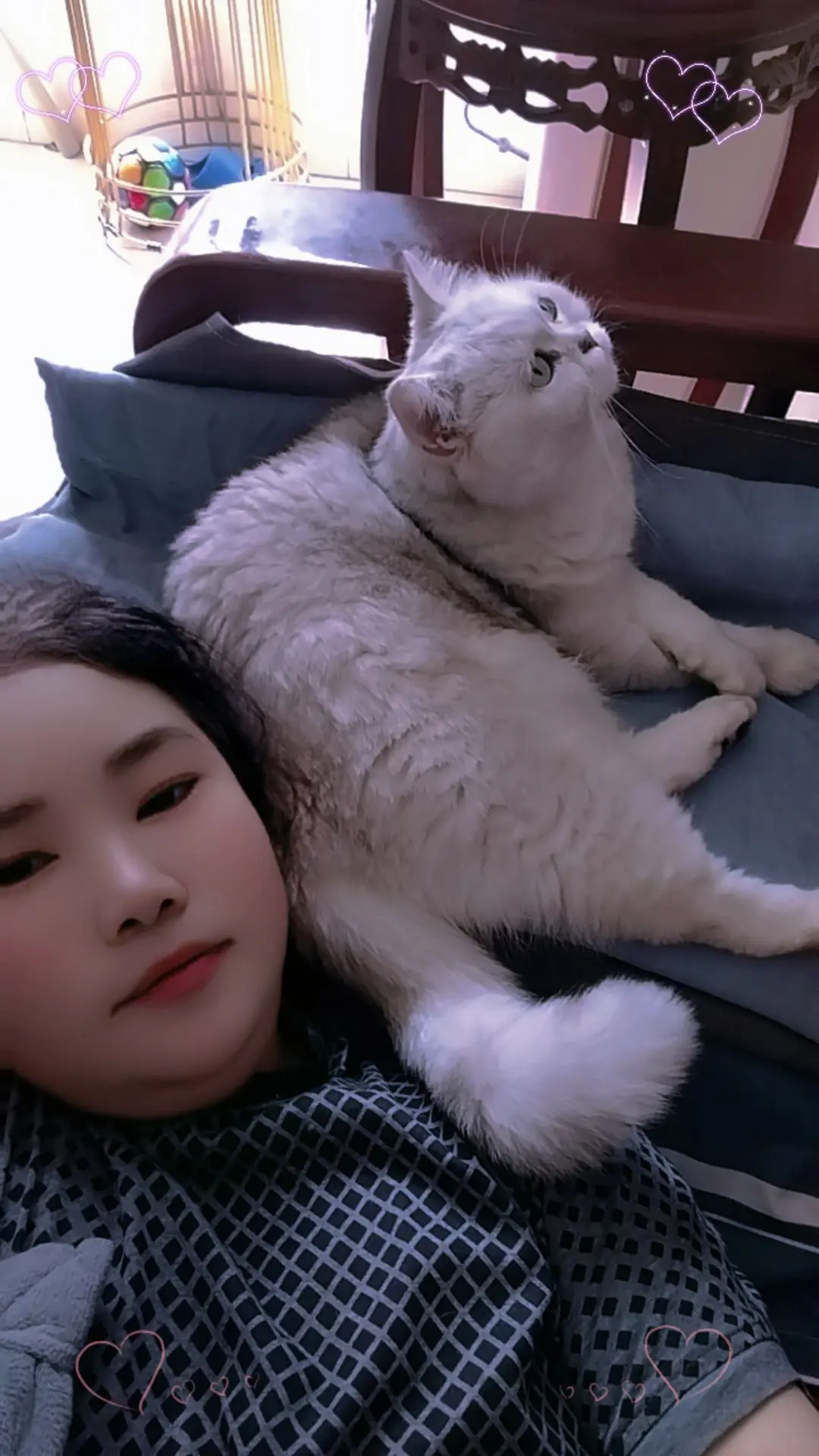 每天忙忙碌碌终于可以躺下来休息会，这是我家甜宝，他就像我的小棉袄只要我...