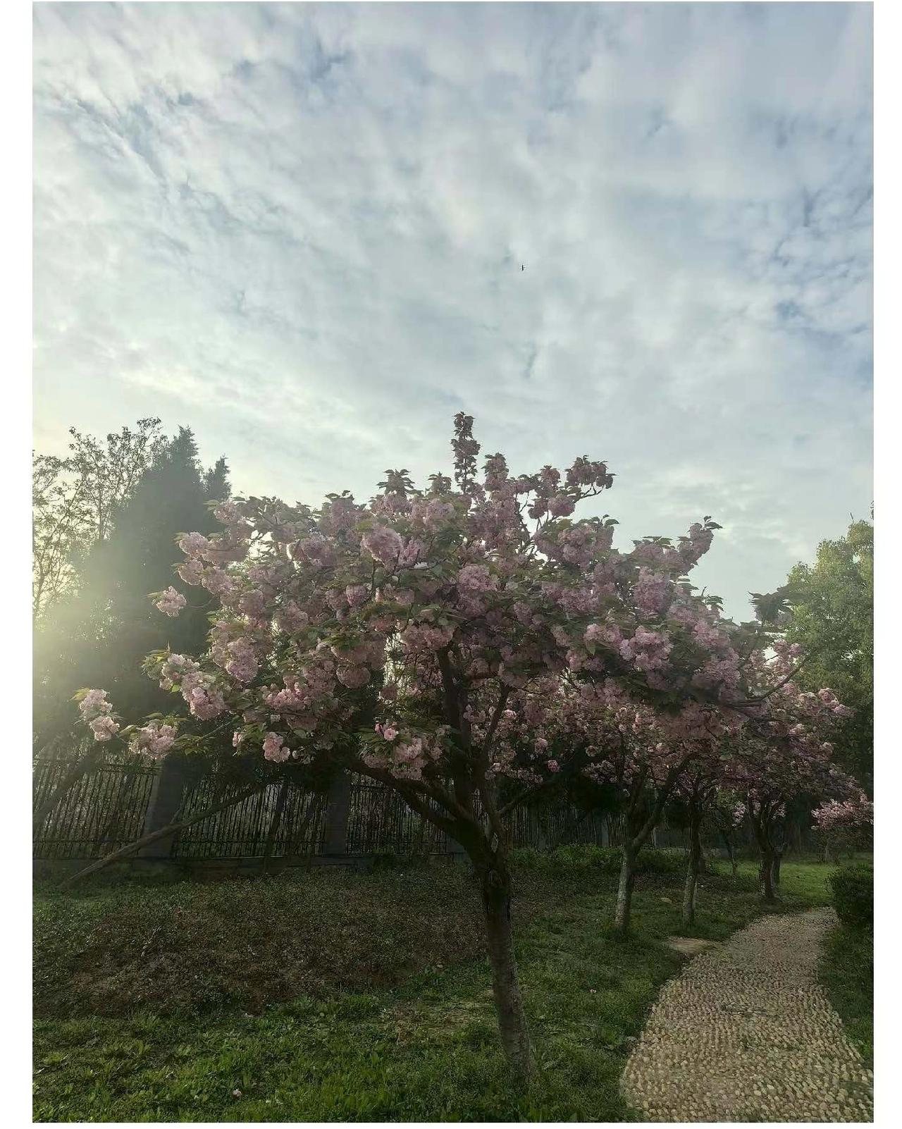 这个消息既助力二八，又振奋人心。
上官正义传来的消息：叶某被判无期徒刑剥夺政治权